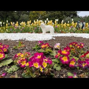 Meet your Posher, Venus